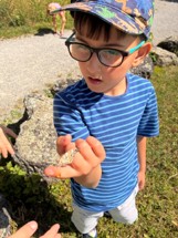 Schmetterling züchten und die Freilassung am 15. Juni 2026